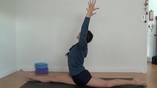 Yoga Splits Hanumanasana With Shana Meyerson of YOGAthletica [upl. by Yekram519]