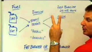 Are You A Sugar Burner Or Fat Burner With Exercise [upl. by Arrais714]