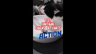 Test fontaine pour chiens et chats Action [upl. by Laius]