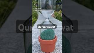 Beautiful world in Quran 🤲❤️youtube [upl. by Frierson]