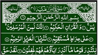 Surah Yaseen Surah Rahman beautiful recitation  Ep 317  quran recitation  full yaseen shareef [upl. by True]