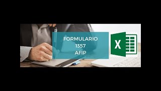 F1357 AFIP Version 6  Excel Lectura y Exportación txt [upl. by Aisanahta]