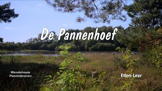 Natuurgebied De Pannenhoef te EttenLeur [upl. by Acenahs486]