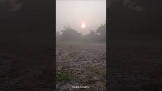 Morning vibe in village winter season✨️🌄🎞📸 kannada villagelife viralvideo edit editing [upl. by Schreibman632]