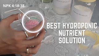 How to make hydroponic nutrient solution at home detailed step by step guide [upl. by Theron]