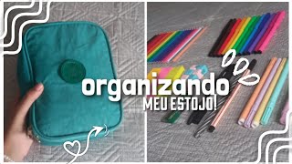 ORGANIZANDO MEU ESTOJO  ✨️ MATERIAL 2024 [upl. by Oilut]