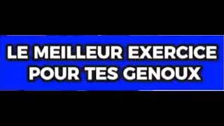 LE MEILLEUR EXERCICE POUR TES GENOUX [upl. by Nednarb358]