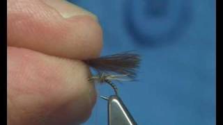 Tying a MayFlyCaddis Emerger by Davie McPhail [upl. by Aznarepse]