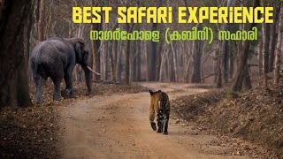 Kabini Safari  Nagarhole Tiger Reserve Karnataka [upl. by Nothgierc]