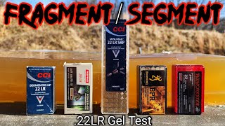 Fragmenting amp Segmenting 22LR Ballistic Gel Test [upl. by Reeher350]