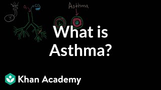 What is asthma  Respiratory system diseases  NCLEXRN  Khan Academy [upl. by Naasar]