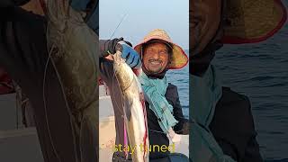 deepsea fishing series 4 shots trending fishing youtubeshorts [upl. by Spatz]