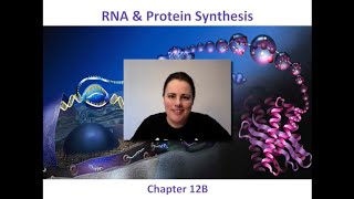 Protein Synthesis Review amp HW [upl. by Eissahc]