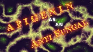 Apigenin as an antifungal [upl. by Nnylarej]