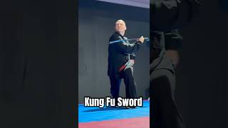 Exceptional Kung Fu Wushu Sword Form Performance  WKU World Championships kungfu martialarts [upl. by Melodee]