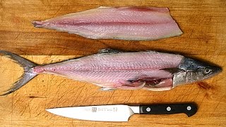 How to Fillet a Fish [upl. by Ahseet]