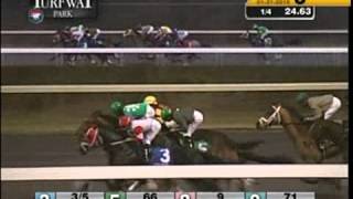 Turfway Park 01312016 Race 6 [upl. by Weirick280]