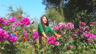 chakma song [upl. by Selrahc]