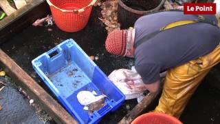 Une semaine en haute mer 19 tonnes à la cale [upl. by Suirauqed]