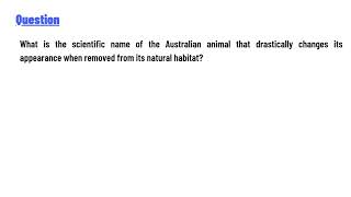 What is the scientific name of the Australian animal that drastically changes its appearance [upl. by Attennot896]