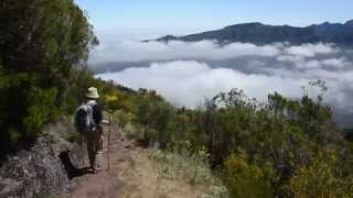 MADEIRA LEVADA WALKS [upl. by Rock388]