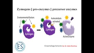 zymogens  proenzymes  precursor enzymes  enzymology lecture 05  educational scholar [upl. by Ashby]