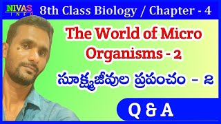 The World of Micro Organism  2  Q amp A  8th Class Biology  Chapter  4  Nivas Info [upl. by Oilicec]