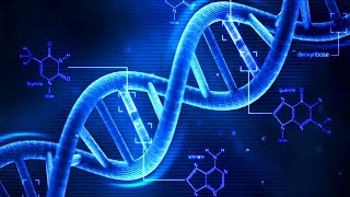 DNA  What is DNA  Basics of DNA [upl. by Marlane]