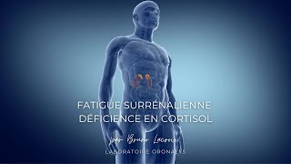 Fatigue surrénalienne déficience en cortisol par Bruno Lacroix  Mars 2024 [upl. by Aelram]