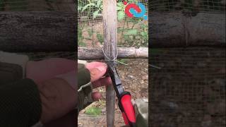 How to fix a fence with steel wire knotshortchannel [upl. by Eatnhoj]