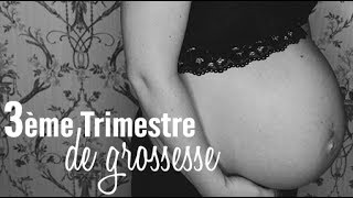 Mon 3ème trimestre de grossesse Test glucose VME Congé prénatale [upl. by Notsniw162]