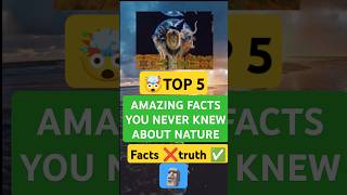 Mind blowing facts 🤯 youtubeshorts facts viralvideo vtuber nature trending dailyfacts [upl. by Rayna]