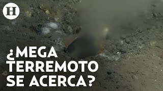 ¿Grieta en el Océano Pacífico provocaría un devastador terremoto Científicos alertan de su hallazgo [upl. by Rellek117]