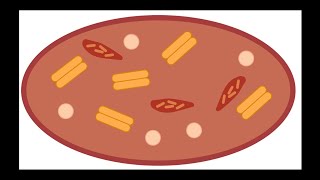 Chromoplast Definition Function and Examples [upl. by Monjan]