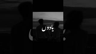 Ek jinpe haq ho bas Mera ❤️‍🩹😩• Aesthetic video • Urdu lyrics status shortsdilibadat [upl. by Mckale]