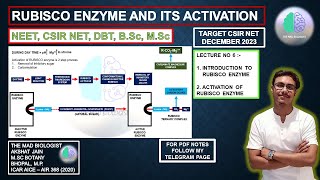 RUBISCO ENZYME IN HINDI CSIR NET RUBISCO ENZYME IN HINDI CSIR NET Plant Physiology Botany [upl. by Barthelemy55]