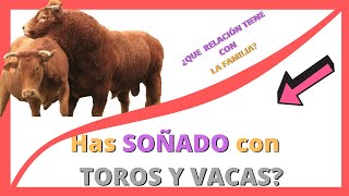 🐮🐄 que SIGNIFICA SOÑAR con TOROS Y VACAS 🐃👨‍👩‍👧‍👦 [upl. by Aneeras]