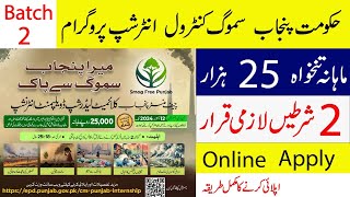 CM Punjab Climate Leadership Development Internship Program Batch II Online Registration Open [upl. by Llenehs]