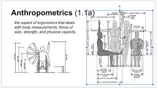 T1  Anthropometrics 1 [upl. by Funda929]