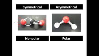 Polar and Non Polar Covalent Molecules Polar vs Nonpolar  CLEAR amp SIMPLE [upl. by Ankney]