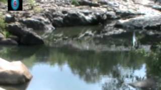 3 Agasthiar falls in Papanasam Tiger Project [upl. by Jollenta996]