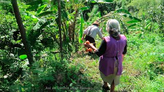 Chamorros Enchilados Envueltos Así se Cocina en el Rancho [upl. by Eimrej553]