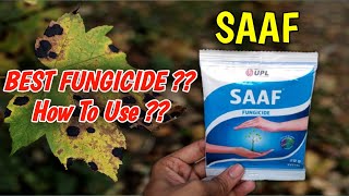 How To Use Saaf Fungicide On Plants In Hindi  Best Fungicide  Carbendazim 12  Mancozeb 63 WP [upl. by Ecital36]