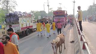 narkatiaganj mata ka doli 🙏 [upl. by Milson]