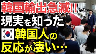 【海外の反応】隣国輸出がついに急減！「日本に負ける…」日韓の差を知った韓国人から絶望の声が…【にほんのチカラ】 [upl. by Reifel]