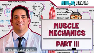 Musculoskeletal System  Muscle Mechanics  Types of Contractions amp Levers [upl. by Arykat]