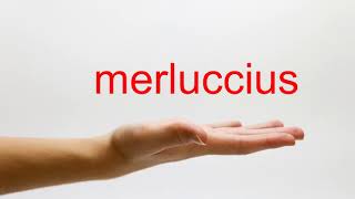 How to Pronounce merluccius  American English [upl. by Ennovoj]