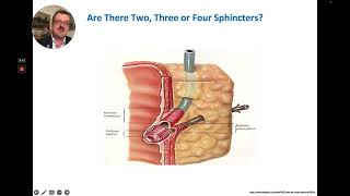 ERCP  Basic Principles of Biliary Sphincterotomy [upl. by Darra]