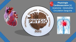 Physiologie Cardiovasculaire 1  Anatomie  Généralités  Circulation Sanguine  Médecine  Cours [upl. by Divad]