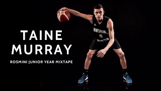 Taine Murray  Class of 2021  Junior Year Highlights [upl. by Baudin]